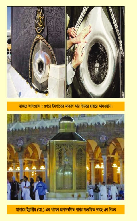 শামায়েলে তিরমিযি/তাসাওউফ ও আত্মশুদ্ধি/আর রাহিকুল মাখতুম কম্বো প্যাকেজ!! - Image 6