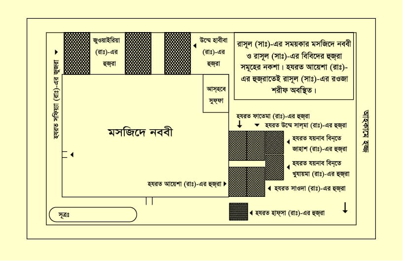 শামায়েলে তিরমিযি/তাসাওউফ ও আত্মশুদ্ধি/আর রাহিকুল মাখতুম কম্বো প্যাকেজ!! - Image 13