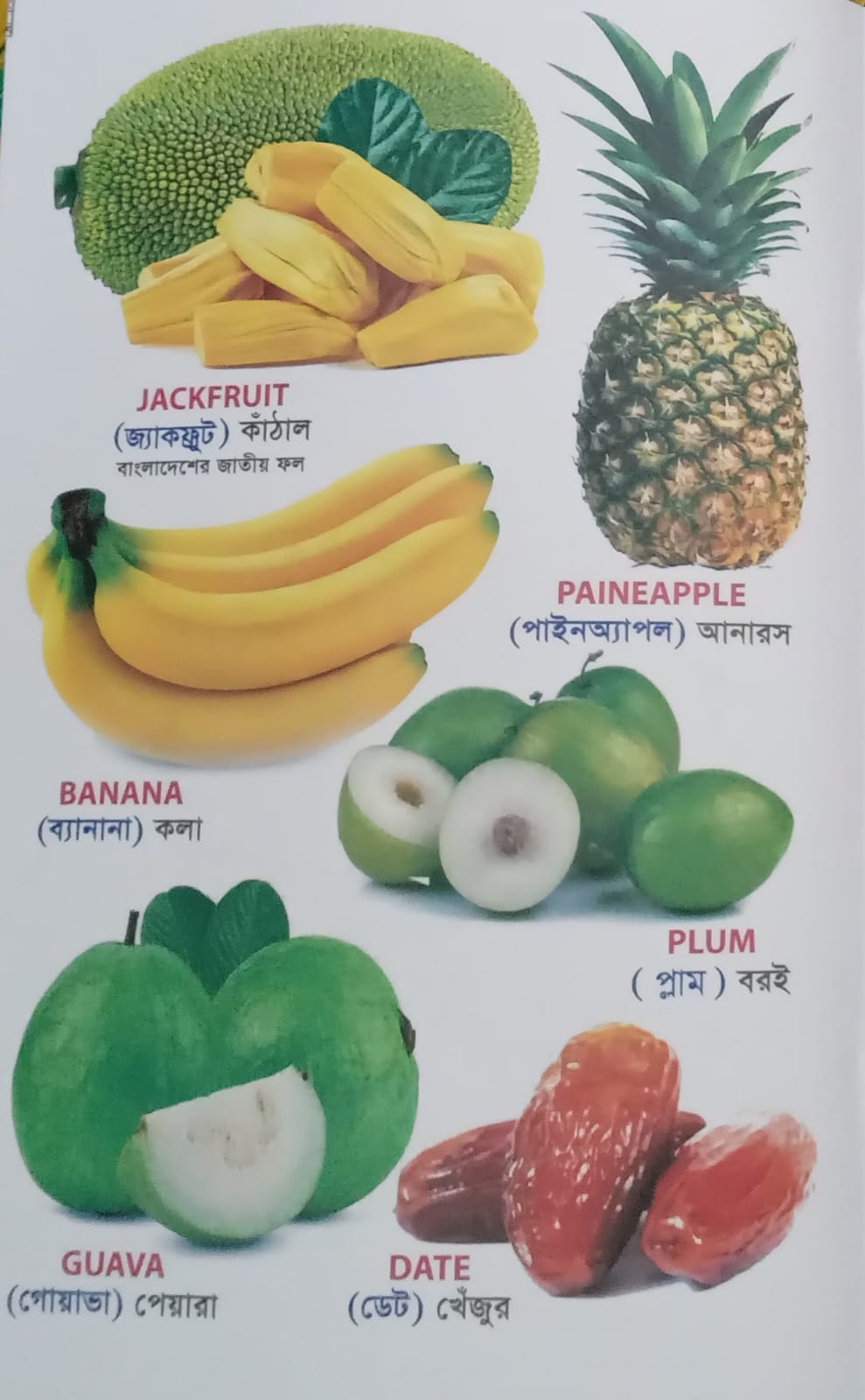 বাচ্চাদের ওয়ার্ড বুক বইয়ের প্যাকেজ!! - Image 3