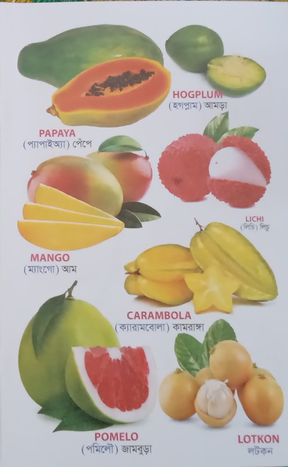 বাচ্চাদের ওয়ার্ড বুক বইয়ের প্যাকেজ!! - Image 4