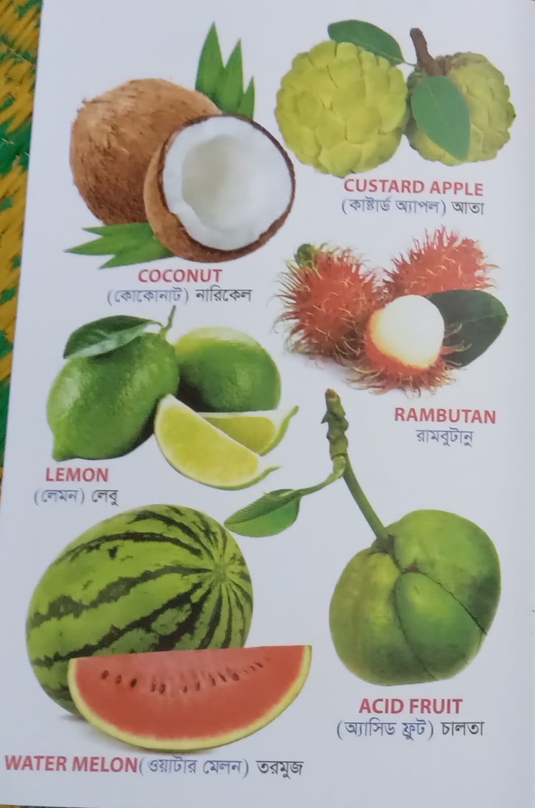 বাচ্চাদের ওয়ার্ড বুক বইয়ের প্যাকেজ!! - Image 5