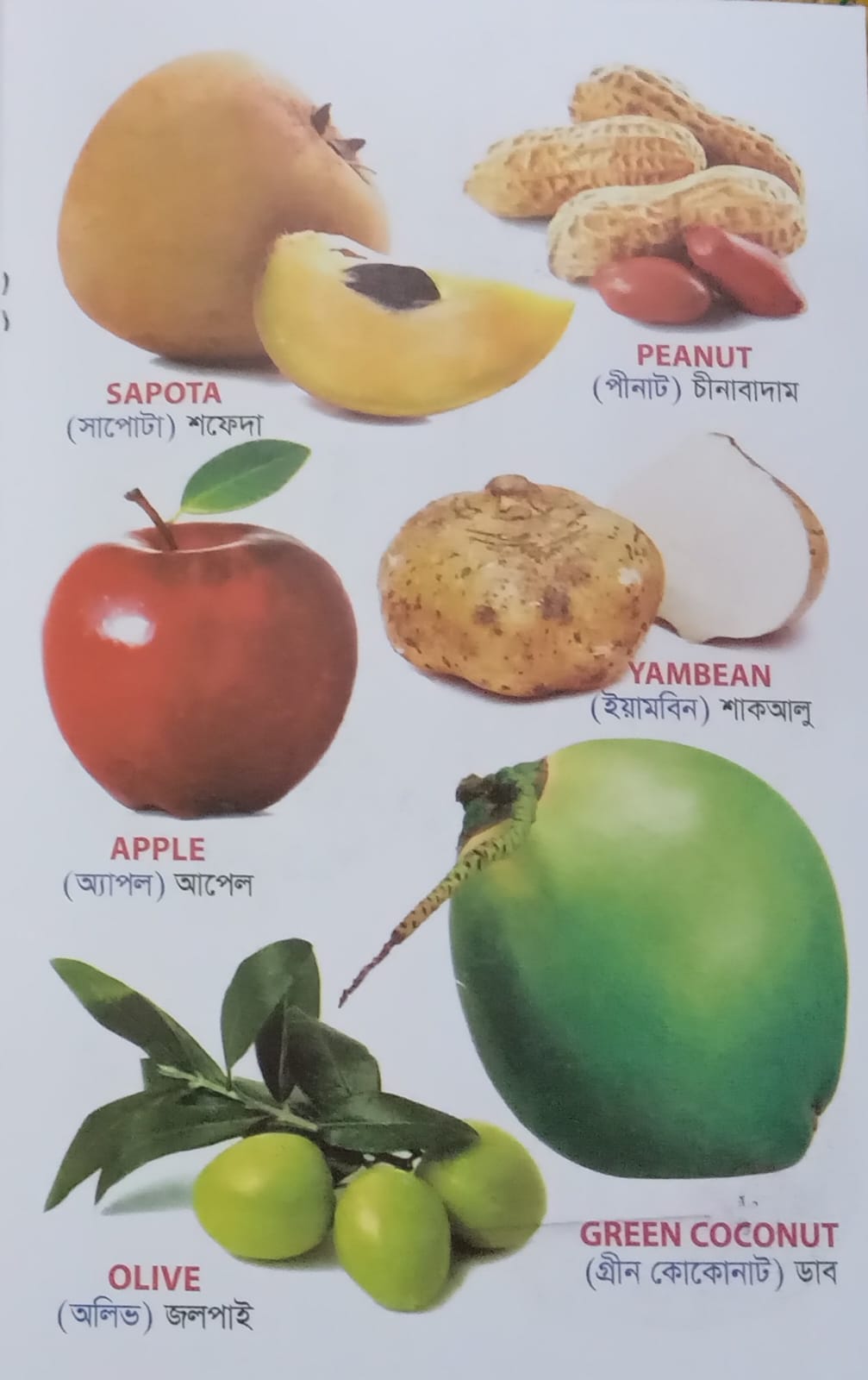 বাচ্চাদের ওয়ার্ড বুক বইয়ের প্যাকেজ!! - Image 6