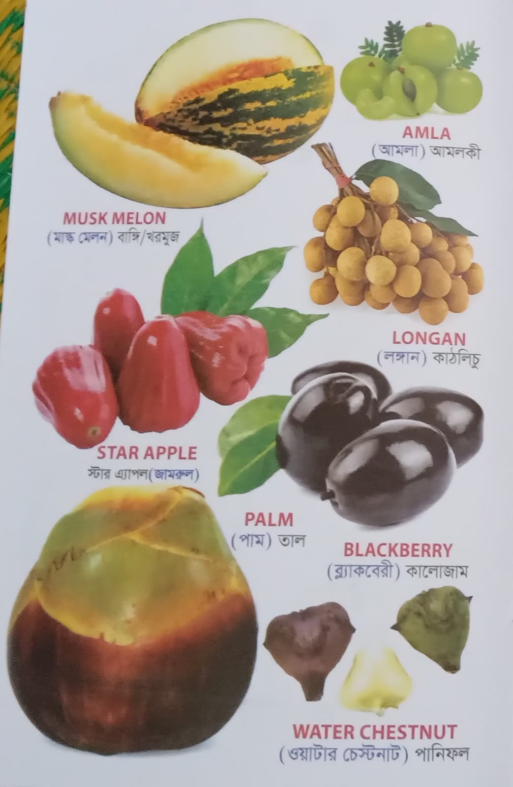 বাচ্চাদের ওয়ার্ড বুক বইয়ের প্যাকেজ!! - Image 7