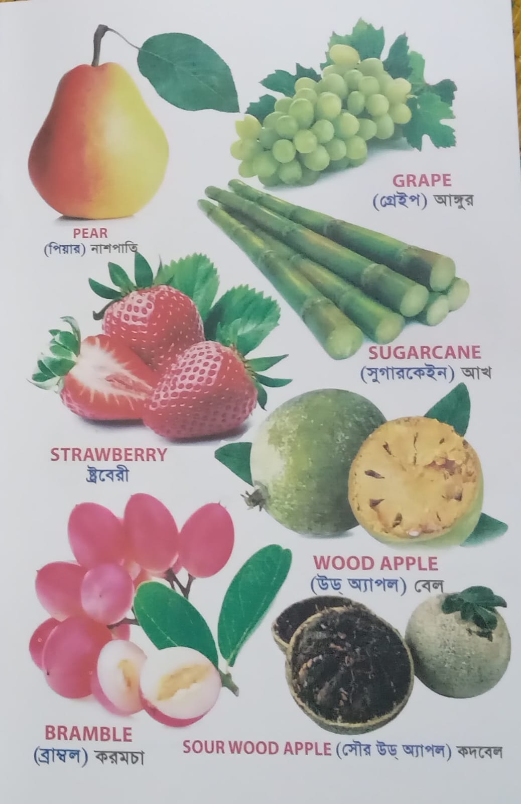 বাচ্চাদের ওয়ার্ড বুক বইয়ের প্যাকেজ!! - Image 8