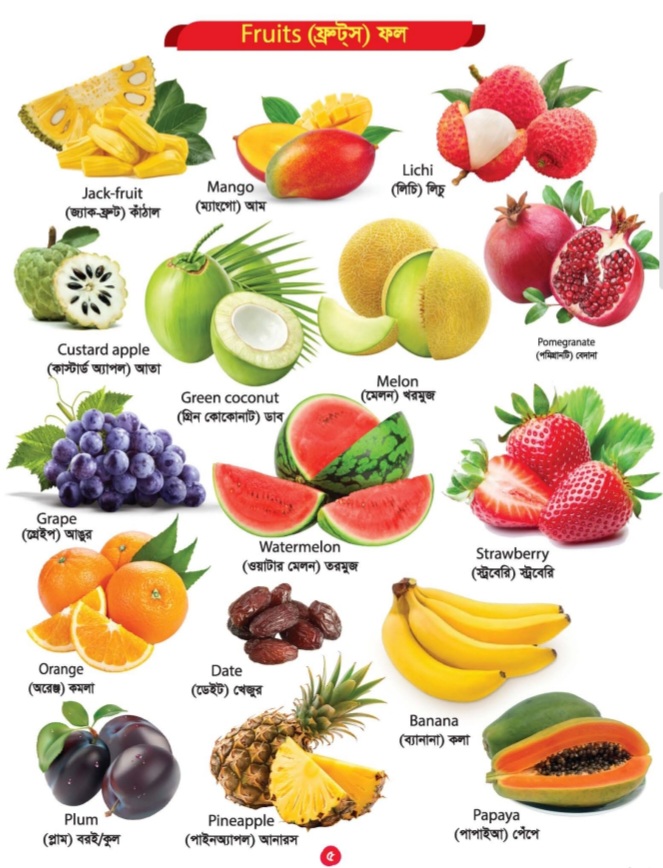 Picture Word Book/300Gsm - Image 6