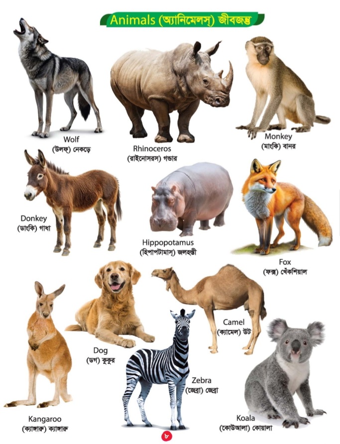 Picture Word Book/300Gsm - Image 4