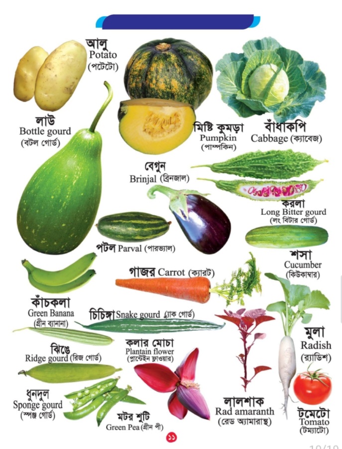 Picture Word Book/300Gsm - Image 11